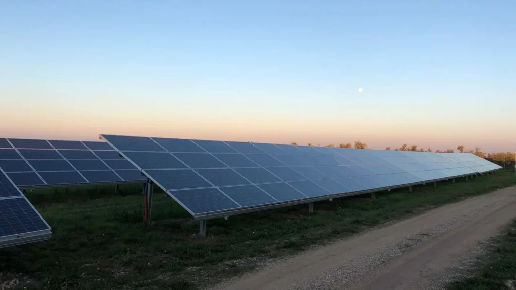 Hileras de paneles solares en un campo al anochecer