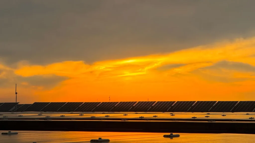 Paneles solares bajo un cielo naranja al atardecer